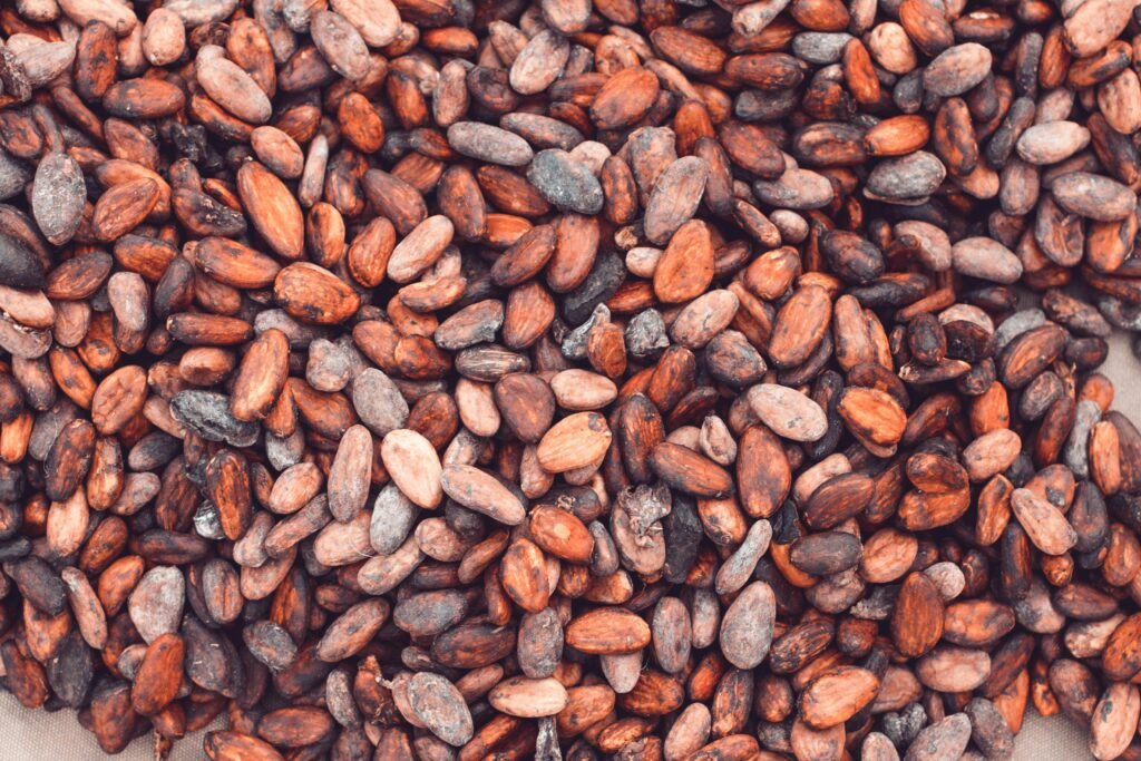 Cacao beans