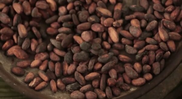 ceremony cacao beans
